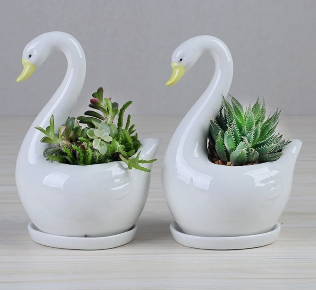 Swan Planter Pots