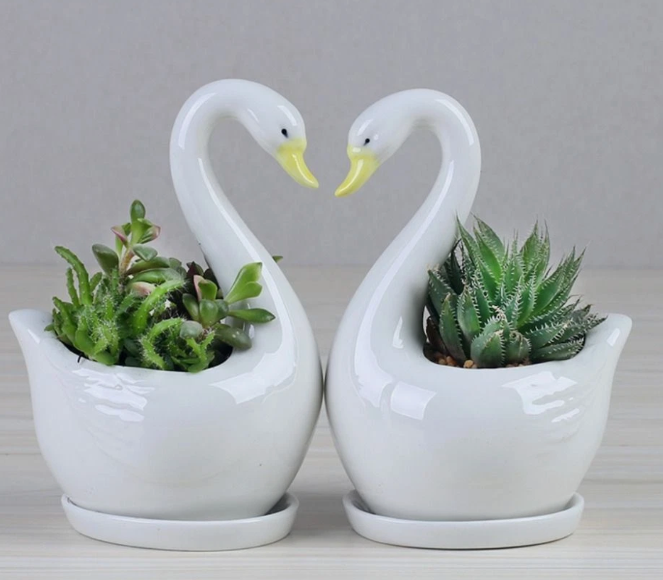 Swan Planter Pots