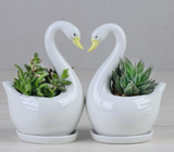 Swan Planter Pots